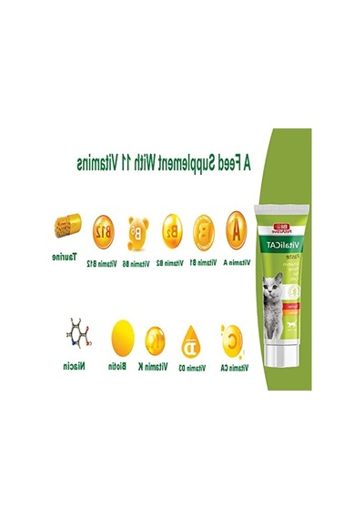Kediler İçin Besleyici Vitamin Macunu, 100 Ml