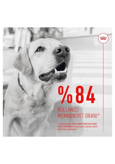 Digestion Chews Yetişkin Köpekler İçin Sindirim Sistemini Destekleyen Tamamlayıcı Ödül Maması 160g