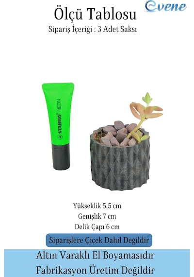 Mini Çiçek Saksı Küçük Sukulent Siyah Kaktüs Saksısı 3'lü Set Baklava Çizgili Model