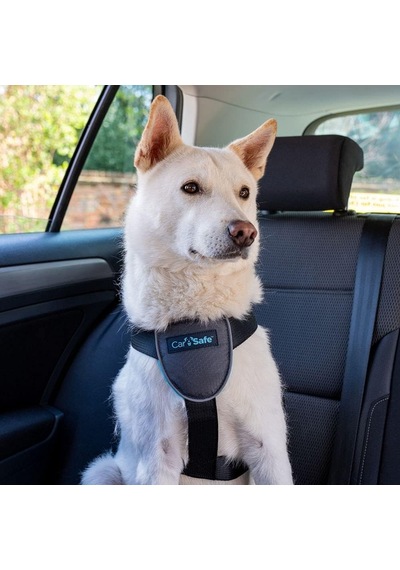 Company Of Animals Carsafe Köpek Harness Araba Seyahat Göğüs Tasması, Medium Siyah