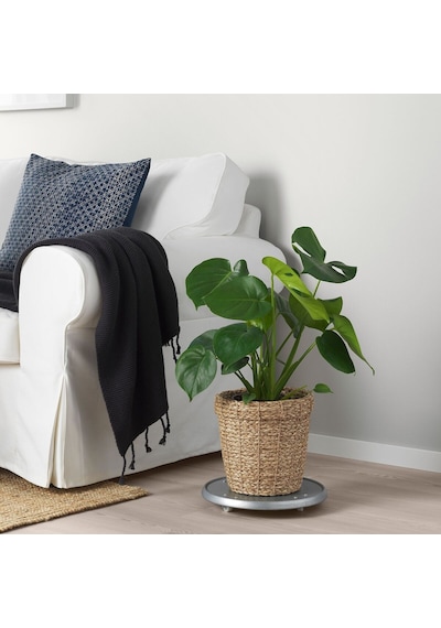 Rattan Saksı, Deniz Sazı, 19 Cm 3 Adet