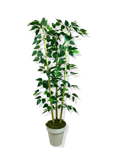 Cihan Çiçekçilik Yapay Yapraklı Benjamin 3 Bambu'lu 110 Cm Beyaz- Yeşil