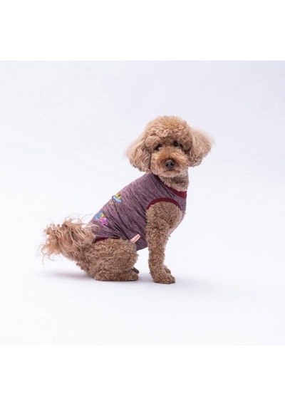 Pawstar Bordo Space Time T-shirt Küçük Irk