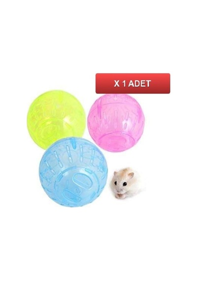 Carno Hamster Egzersiz Topu 11.5cm