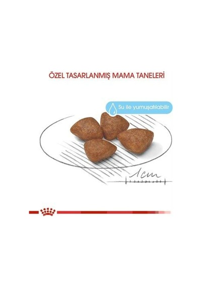 Mini Starter Mother Babydog Küçük Irk Yavru Köpek Maması 4 Kg Tazemama Expres8275