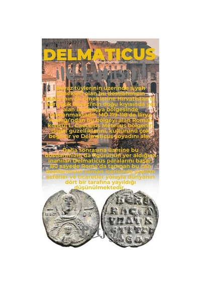 Petjoo 28.Delmaticus Gri-Sarı Qr'lı Köpek Künyesi