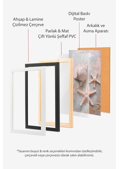 Zestia Ahşap Çerçeveli Tablo, Deniz Kabukları Ve Yıldız, Banyo Dekoru Poster No: 112014 30 X 40