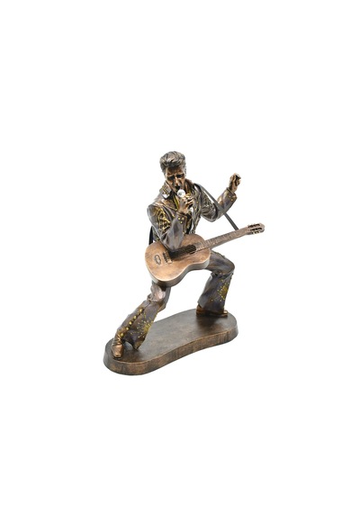 Rock'n Roll'un Kralı Elvis Presley Biblosu