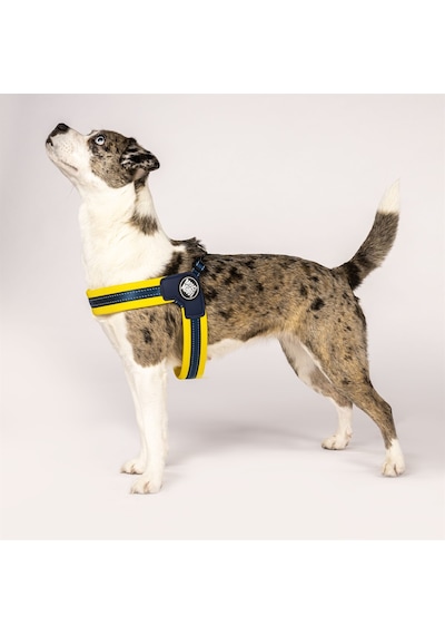 Max & Molly Q-Fit Matrix Yellow Göğüs Tasması Sarı XXS Sarı