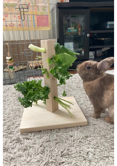 Bunny Tree Ahşap Tavşan Foraging Oyuncağı, Doğal Çam, Zihinsel Uyarım