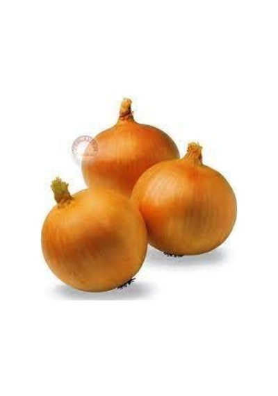 70 Adet Tohum Kışlık Kuru Soğan Tohumu Yerli Tohum Soğan Tohumu Sürpriz Hediye Tohumludur