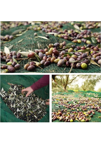 3X5 METRE ZEYTİN SERGİSİ ZEYTİN TOPLAMA FİLESİ FINDIK FISTIK ÖRTÜ
