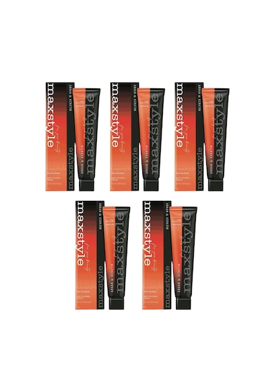 Maxstyle Sps567 Argan Ve Keratin 2025/ac.gr Açık Gri 60 Ml 5 Adet Saç Boyası Oksidansız