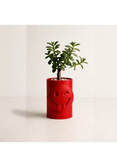 3d Baskı Emoji Planter - Göz Kırpan Yüzlü Sukulent Saksısı-kırmızı