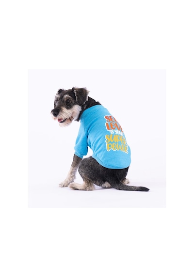 Pawstar Turkuaz Power Polarlı Küçük Irk Köpek Sweatshirtü