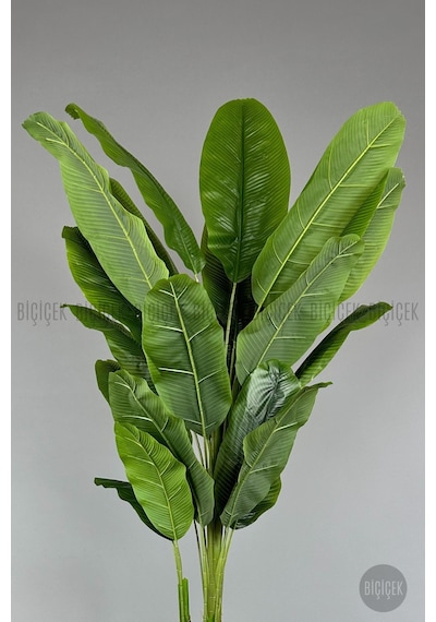 Biçiçek Yapay Starli̇ce 230 Cm Bambu Gövdeli̇ 22 Yapraklı Krem Gümüş Cleopatra Saksıda