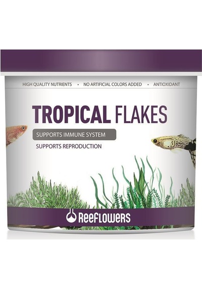 Reeflowers Tropical Flakes Balık Yemi 500 ML+