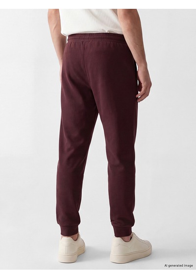 Lcwaıkıkı Classic Bordo Regular Fit Erkek Jogger Eşofman Altı