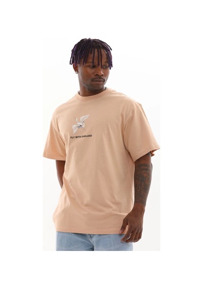 Barlashive Erkek Baskılı T-shirt Kısa Kol Bisiklet Yaka Rahat Kalıp Tişört - Bej Çok Renkli