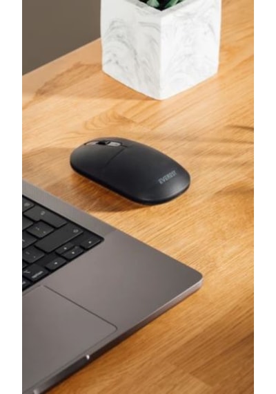 Everest Smw-384 Usb 2.4ghz Kablosuz Mouse