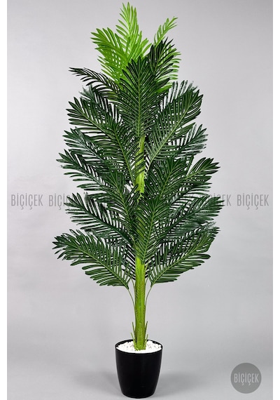 Yapay Areka Ağacı 160-180 Cm Bey