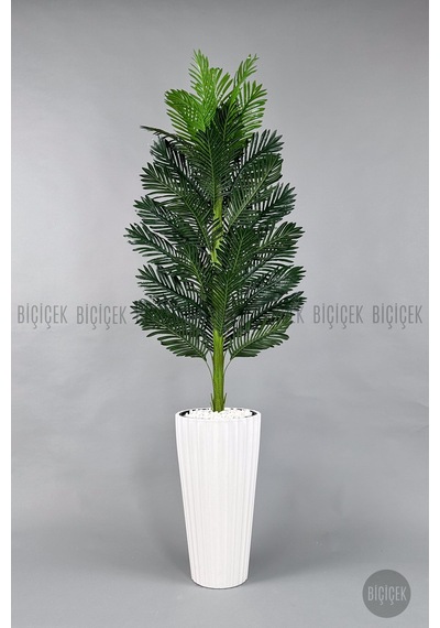 Yapay Areka Ağaci 220 Cm Beyaz Li Lyum Saksıda