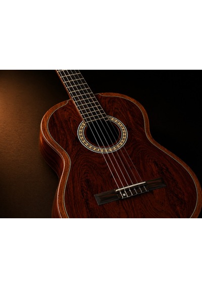 Torres Cg80 Masif Klasik Gitar 4/4 Profesyonel Gül Ağacı Konser Gitarı - 8697001481613