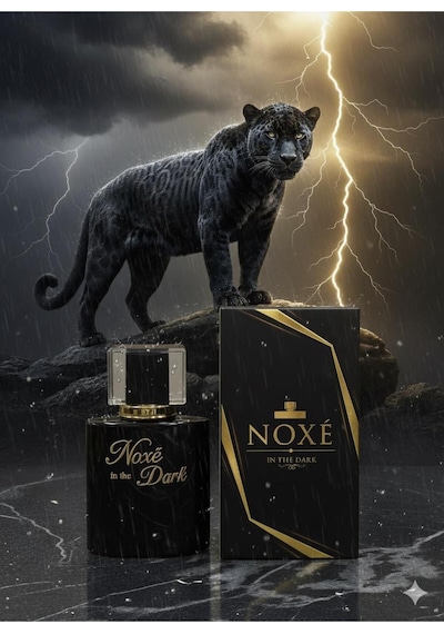 Noxe E1 Erkek Parfüm EDT 50 ML