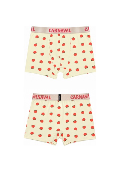 Carnaval Socks Şeftali Desenli Erkek Boxer Pamuklu Likralı Parlak Lastikli Kutulu Krem Çoklu