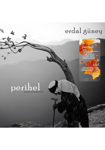 Erdal Güney - Perihel-afel Enstrümantal Plak
