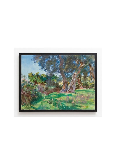 Botanik Sargent Korfu Zeytin Ağaçları Çerçevesiz Poster 21x30 Cm A4 Botanik Doğa Tarihi Duvar Dekoru