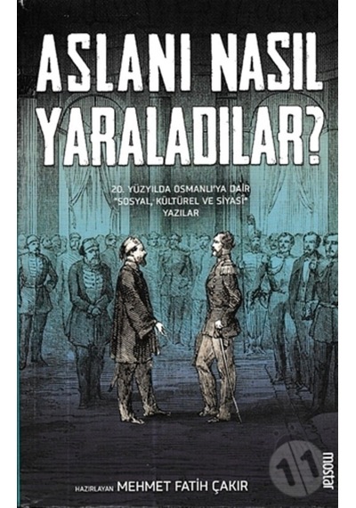 Aslanı Nasıl Yaraladılar