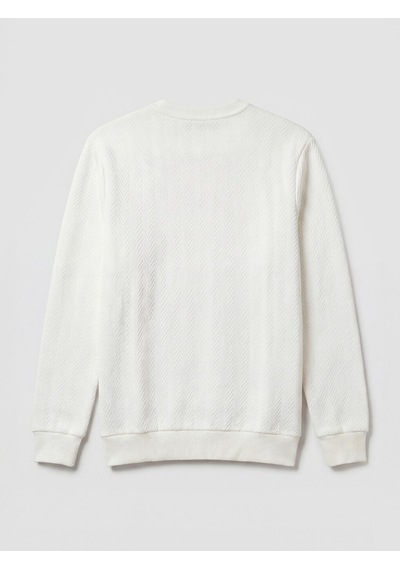 Lcwaıkıkı Classic Beyaz Bisiklet Yaka Desenli Erkek Sweatshirt