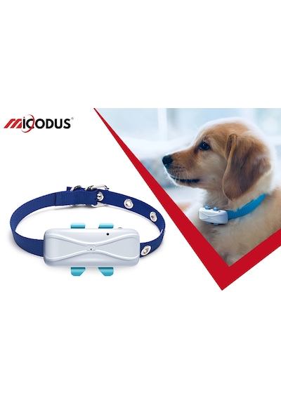 Gpsgopro Mıcodus Mp80g 4g Evcil Hayvan Gps Takip Cihazı Ip68 Su Geçirmez, 4g+2g, Geofence, Ios/android Uygulama
