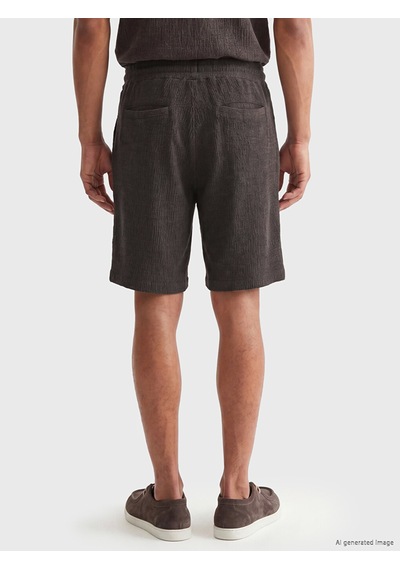 Lc Waikiki Lc Waıkıkı Antrasit Regular Fit Erkek Şort