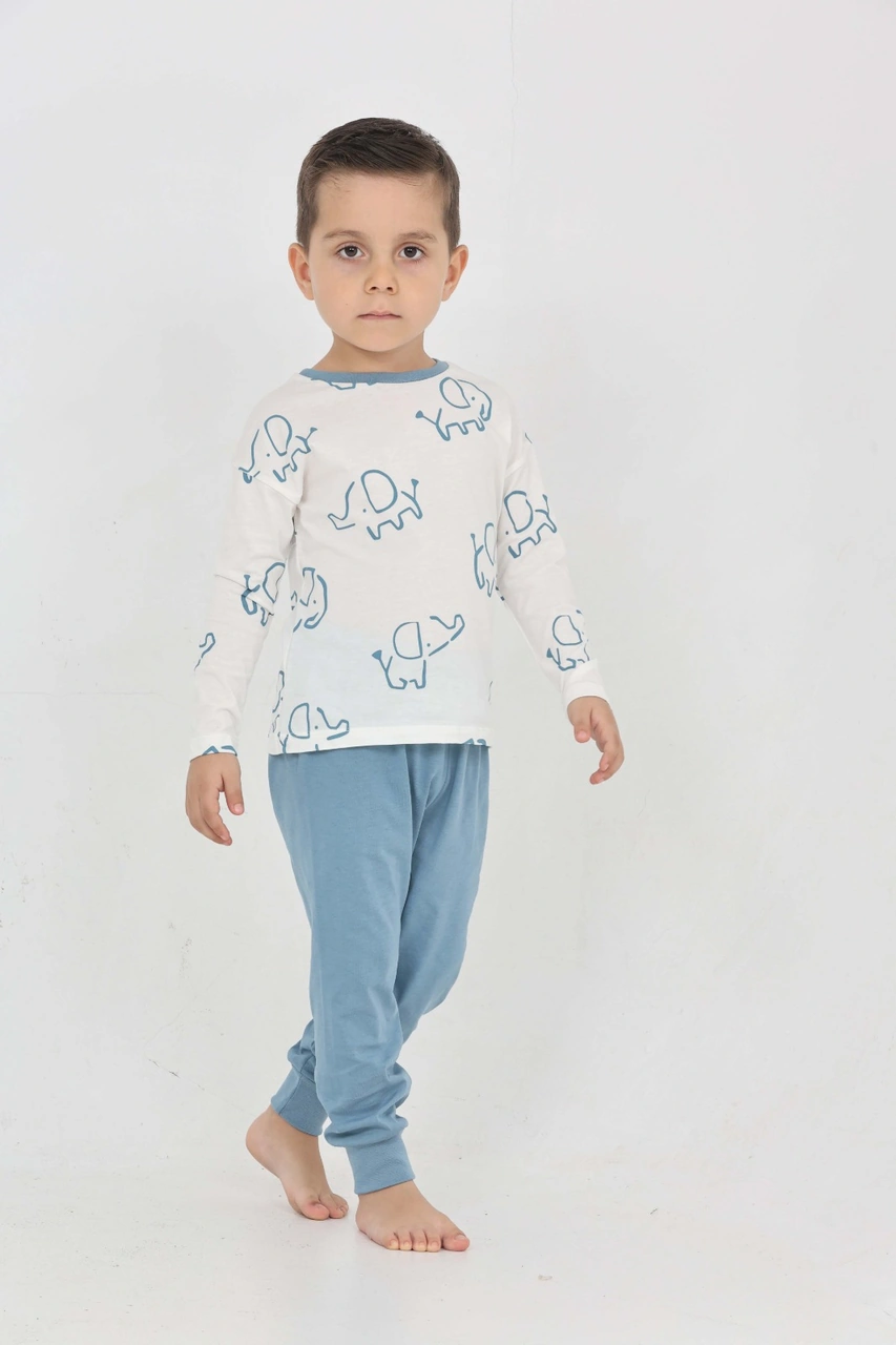 Toontoy Kids Toontoy Erkek Çocuk Fil Pano Baskılı Pijama Takım Mavi