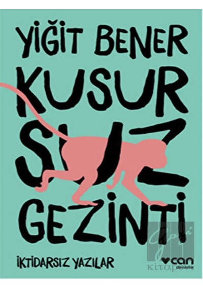 Kusursuz Gezinti - Yiğit Bener - Can Yayınları