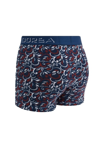 Dorea 2 Adet Erkek Desenli Boxer (445764423)