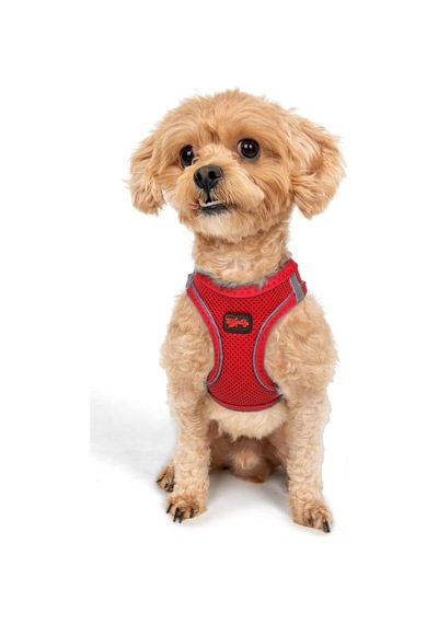 Tailpetz Air-mesh Küçük Ve Orta Irk Kedi Köpek Göğüs Tasması - Yumuşak, Nefes Alabilir, Dayanıklı Parlak Kırmızı, 2xs Sku: Zeusb07t1tbhzf Açık Bej - Bej