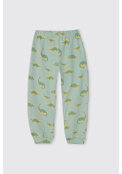 Panço Erkek Çocuk Dinazor Desenli Pijama Takımı Turkuaz