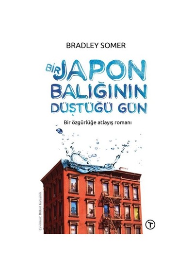 Bir Japon Balığının Düştüğü Gün - Grsy-615163
