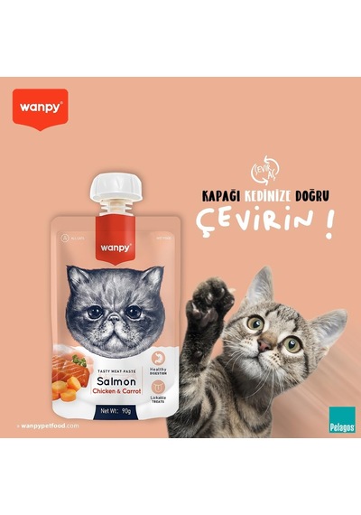 2As Wanpy Taze Somonlu&tavuklu Kedi Et Ezmesi 90 Gr Tekli 12 Gri