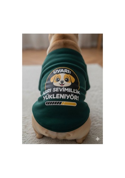 Penye Baskılı Sweatshirt Haki