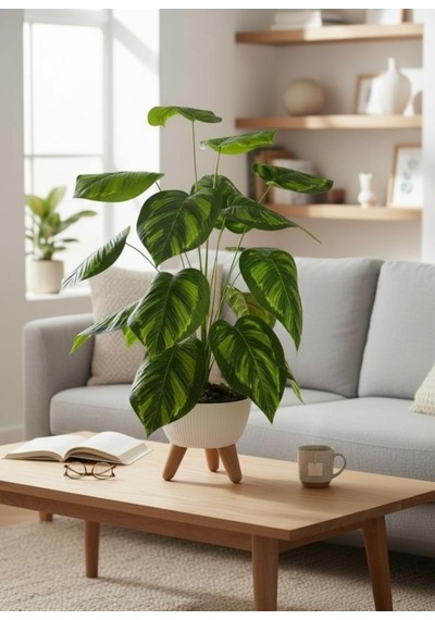 Yapay Çiçek Salon Bitkisi Difenbahya 70cm 18 Yaprak Beyaz Zigon Saksıda Yeşil