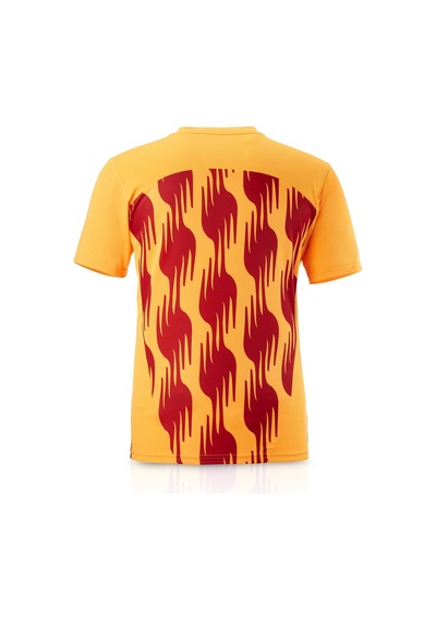 Galatasaray Lisanslı Puma A Takım Sarı - Kırmızı Antreman T-shirt Aslan Ahşap Kutulu 77969304