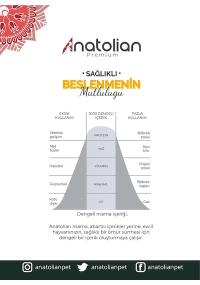 Anatolian Premium Sterilised Somonlu Kısırlaştırılmış Yetişkin Kedi Maması 2 x 2 KG