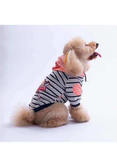 Pembe Seattle Pitch Köpek Hoodie Köpek Sweat Köpek Kıyafeti Kedi Kıyafeti