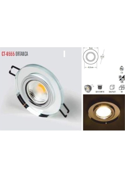 Cata Ct6555 Ortanca Dekoratif Cam Spot Diğer