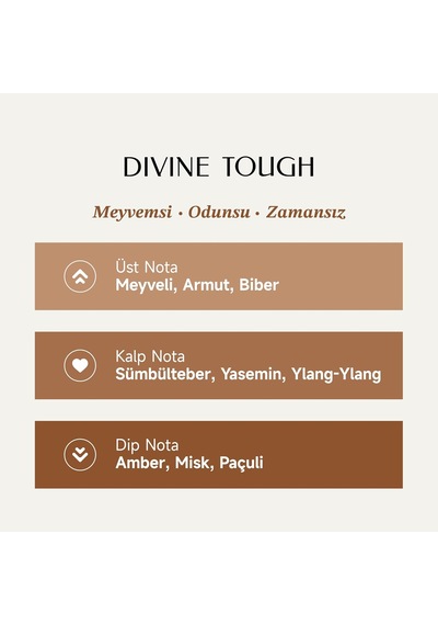 Divine Tough Erkek Parfüm Extrait De Parfum 100 Ml Diğer