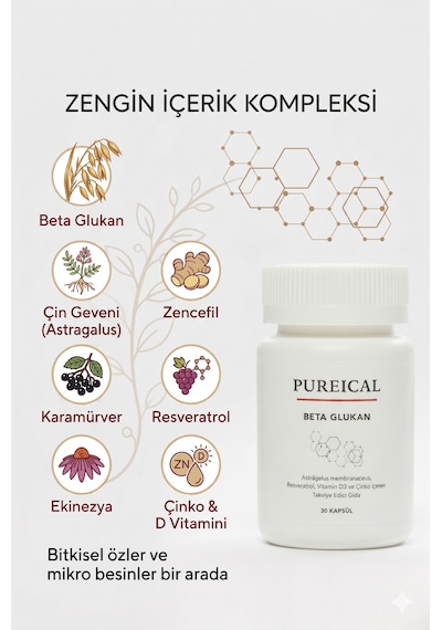 Pureıcal Beta Glukan Çin Geveni Karamürver Ekinezya Zencefil Resveratrol Çinko D Vitamini 30 Kapsül